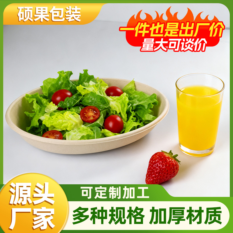 Disposable Biodegradable Oval Lunch Box 18oz Sugarcane Pulp Oval Bowl Vegetable Salad Packed Lunch Box with Lid
