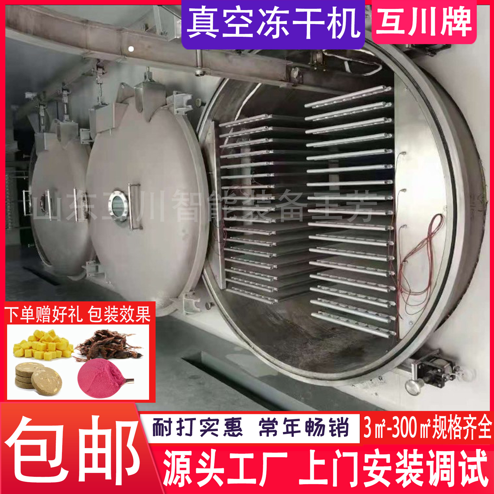 酥酥脆脆冻干酸奶块干燥机 商用全自动芒果干FD真空冻干机设备