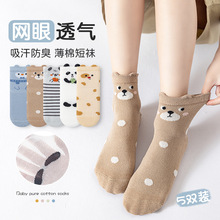 2026春夏卡通熊猫a类儿童袜子中大童中筒袜条纹网眼立体男女童袜