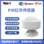 人体感应智能涂鸦探测器