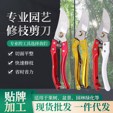 �F؛���lSK5�@ˇ��֦���� ����@�ֹ����辰���仨�@�ք���֦��