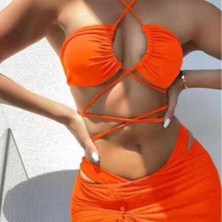 2024 New European and American Sexy Swimwear Set Pure Color Bikini Swimwear Fashion Swimwear Wholesale Bikini 