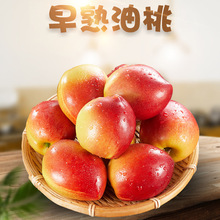 �����x�������tƤ���� ���rˮ������ڸд��l ���� ����