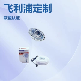 卤钨灯泡;镇流器;墙壁插座