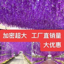 ������ࡿ������滨���ٻ��ٻ����_�m��픻��٠����c�b��ٗl