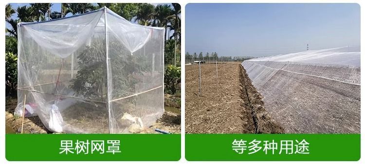 547991d7-3612-49a7-977a-0e8cc78a1337.jpe