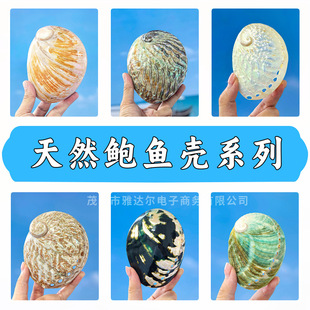 ��Ȼ�����U�~�����յ����~���쾰�b���Ҿ��ղؔ[�������l�A
