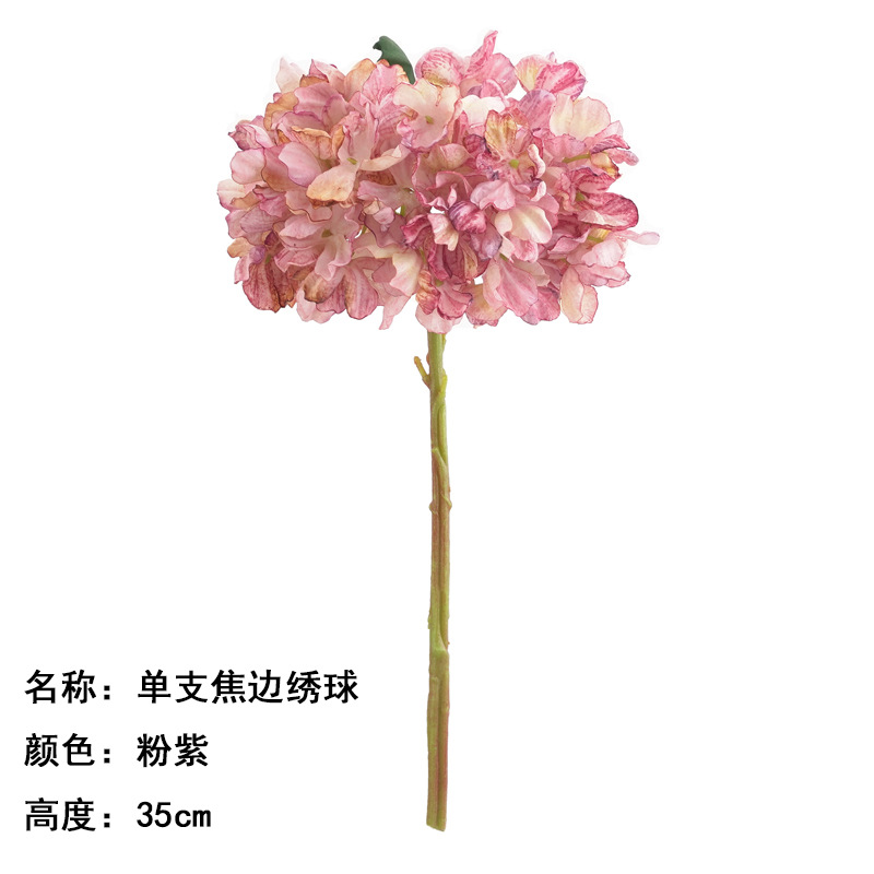 Single Coke Edge Hydrangea Pink and Purple