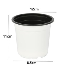 12cm�pɫ��A�ΰ�ɫ�pɫ�� ���ؾGֲ�ݻ�����Nֲ������С������