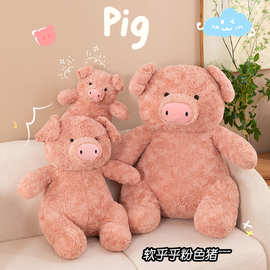 可爱卡通巴纳布斯猪玩偶毛绒玩具小猪公仔女孩睡觉抱枕抓机玩偶