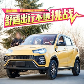 其他电动车;电动代步车;电动三轮车