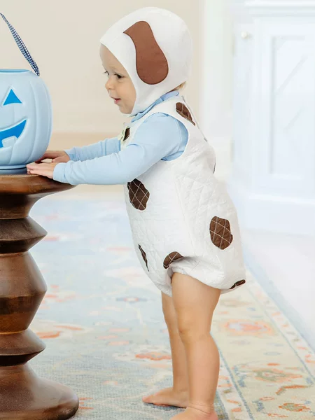 Children's Foreign Trade European and American Autumn and Winter Cute Puppy Style Thick Jumpsuit + Hat Kidsren's Clothing Ins