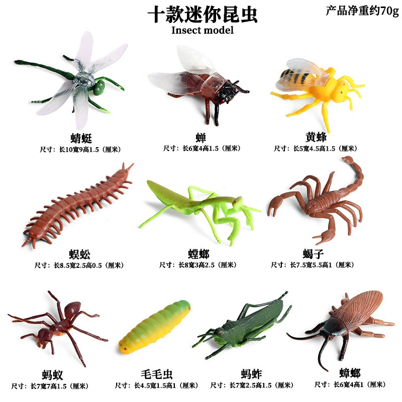 Cognitive realistic marine animal model, dinosaur, toy