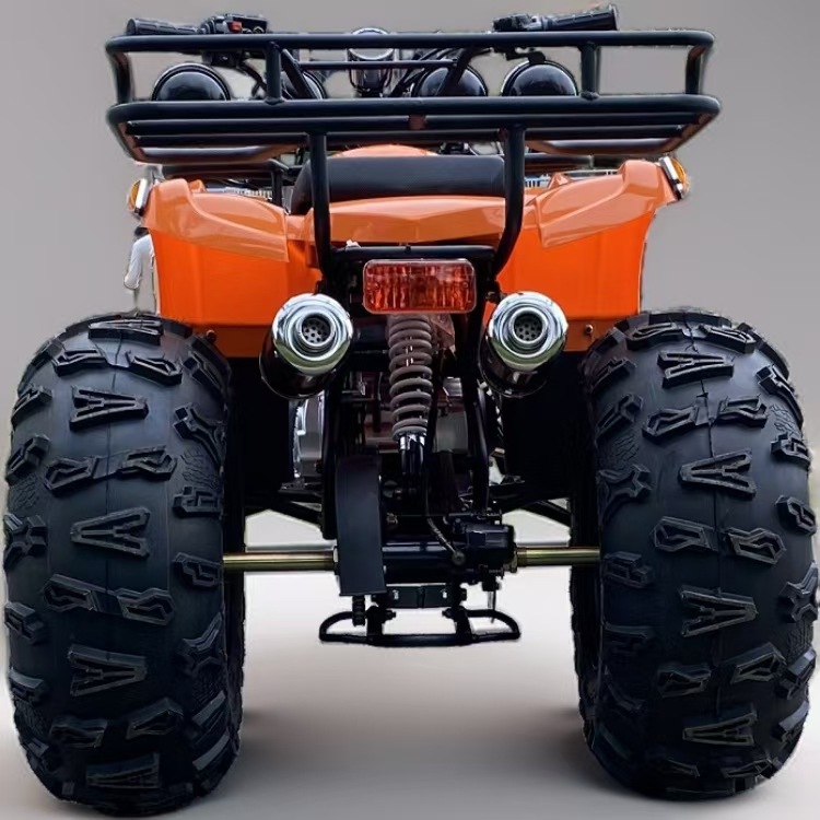 Vehículo todoterreno de playa de 125 cc, motocicleta todoterreno para adultos, ATV eléctrico para nieve, versión eléctrica