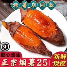 山东烟薯25号蜜薯糖心红薯新鲜10斤番薯农家沙地烤地瓜农科院山芋
