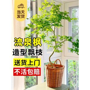 �S����Ȫ���������Ծ��Gֲ�҃��̨�k���ҿ͏d���B���ļ����~�h֦