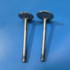 其他发动系统;气门及部件;活塞/活塞环