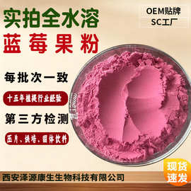 蓝莓喷雾粉 蓝莓粉蓝莓汁粉 速溶蓝莓果粉 现货包邮1KG起订可寄样