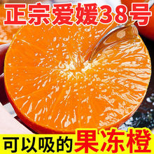 四川爱媛号果冻橙当季橙子水果新鲜香甜薄皮手剥橙子冰糖橙脐橙