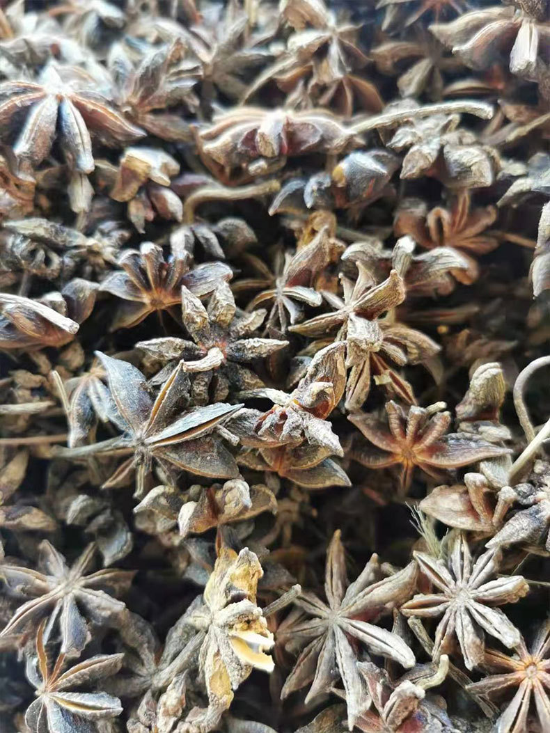 Whole Star Anise Da Hui Xiang Dried Illicium verum Fruit Culinary Spice 500g in use