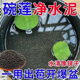 Special mud for bowl lotus, water plant mud, high fertility, non-stinky water, non-muddy water, lotus pond, water lily, hydroponic plant nutrition, ceramsite mud
