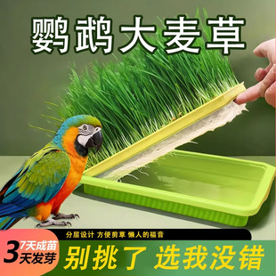 �W�^��������Ȼʳ�òݿ�ҧ�����ˮ��N�Ӵ������␞�I�Bˮ���B��