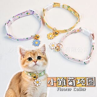 �羳С�r�տ��{�������Ȧ�iȦ؈�乷���ӷ���Ϣ��������n