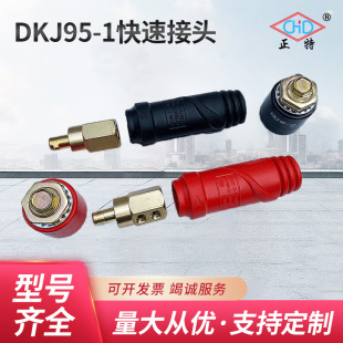 �������؏S�ҹ���DKJ95-1���ٽ��^�������C��|����b��������