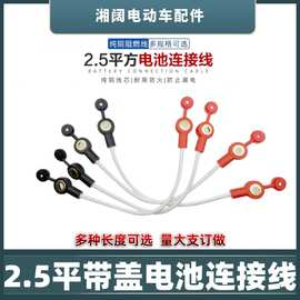电动车电池连接线三轮车2.5平纯铜带盖阻燃防水连接线电瓶串联线