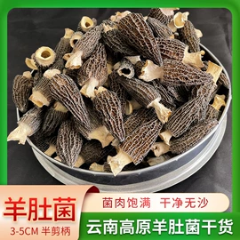 其他干货;羊肚菌;牛肝菌