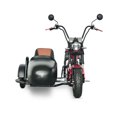 Cp Modified Three-Wheel Side-By-Side Elektrikli motosikletlər