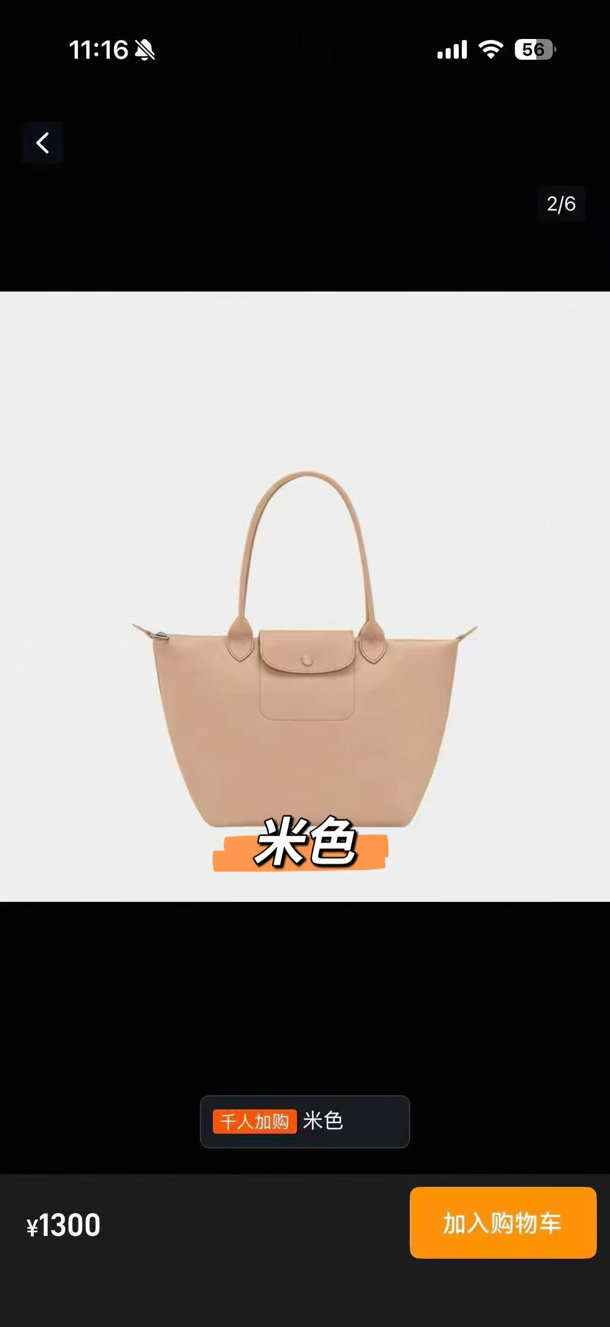 새로운 색상 베이지