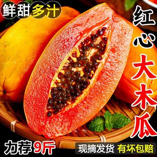 �V���t��ţ��ľ�����rˮ�������d�ܽz��������ľ����Ȼ��