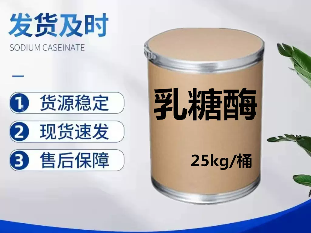 食品级 乳糖酶 β-半乳糖苷酶酶活力 欢迎订购