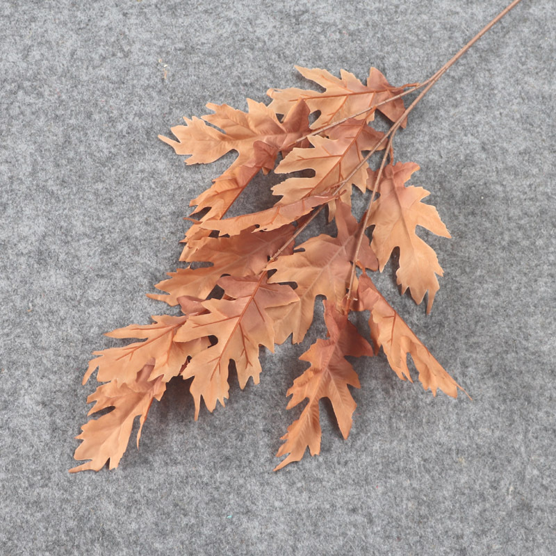 Feuille de chêne
