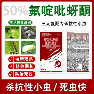 50%����x�����x�Ȱ�����ͪ�߲˹����Ҙ����xā�x�rș��Ʒ���x��