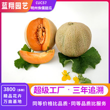 ���ڏV�����������N��N�����������ԷN���O���̨�����Ԙ��ͥԺ