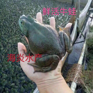 ���]ţ��ˮ�a���u����ţ�ܬF؛�F�ƬF���F�l����ţ�ܻ�����r