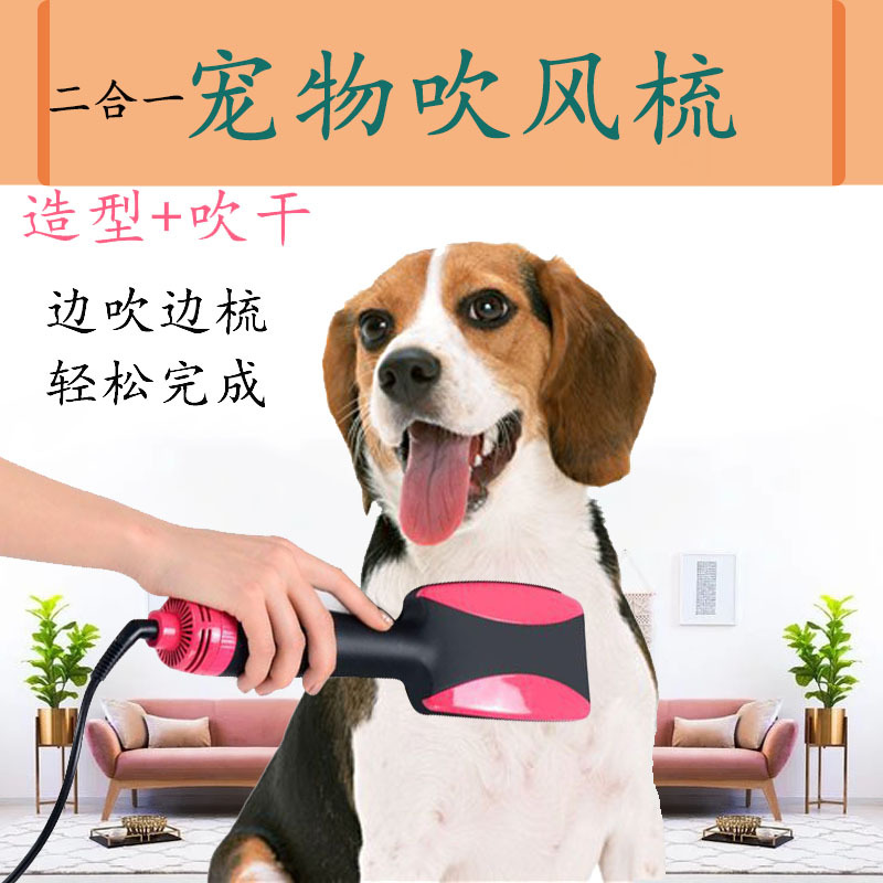 未标题-3
