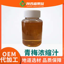 青梅浓缩汁6.5倍 现货 青梅浓缩液清汁 各种水果浓缩汁 青梅汁/粉