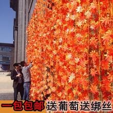 ����t���~�ٗl���ϻ��٘��~���b������ٻ���ŵ��ֲ��ܵ��p�@