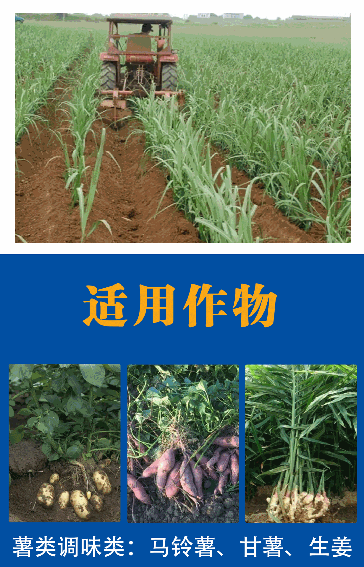 华运达-2_08.gif