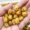 Bodhi Root [Roasted Ragdoll Rabbit] 12-13mm single