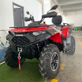 沙滩车;其他轮胎