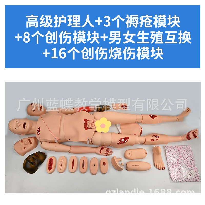 ҽѧģ����ģ�Ͷ๦�ܻ�������ģ�ػ�����ѵ������Ƥ�����ķθ���