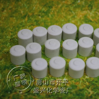 ［唐山盛兴瓷厂］红外碳硫分析坩埚 24*24mm