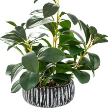 �羳���滨���Է��涹���~�辰�Gֲˮ����ٻ��Ҿ��b��k���[��