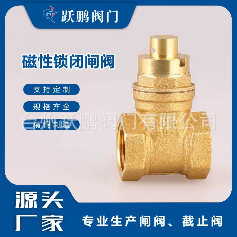 208磁性锁闭阀防盗铜闸阀自来水税务玉环外贸中性出口专业厂防漏