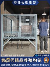 С���ӻ\�߹��\�Ӵ���Ȯ����Y����ë����Ȯ��䓽�Ȯ�ṷ�\����Ȯ