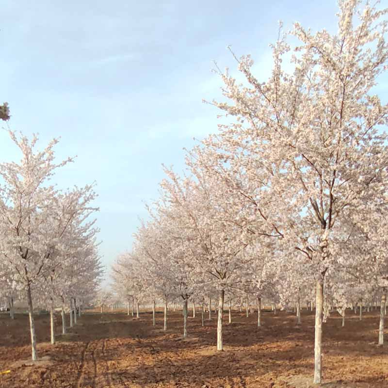 微信图片_20230818145950 副本.jpg